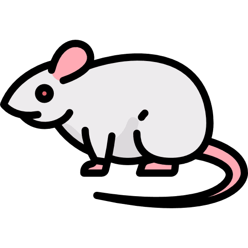 Mouse animal kingdom animals mouse icon