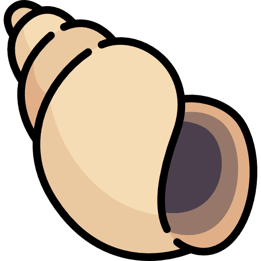 Sea snail animals sea life sea snail icon