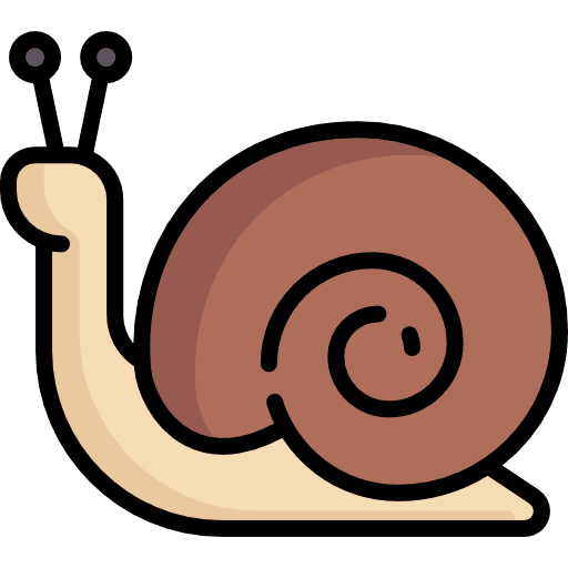 Snail animal animals animal kingdom icon