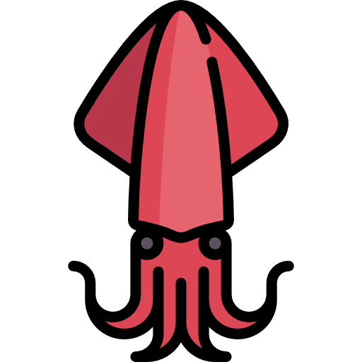 Squid aquatic aquarium sea life icon