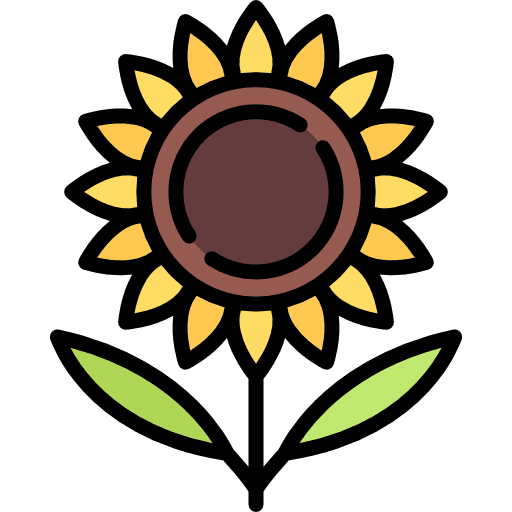 Sunflower nature petals sunflower icon
