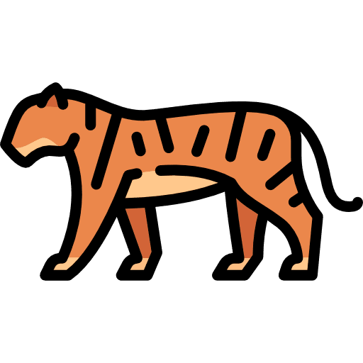 Tiger wildlife animal zoo icon