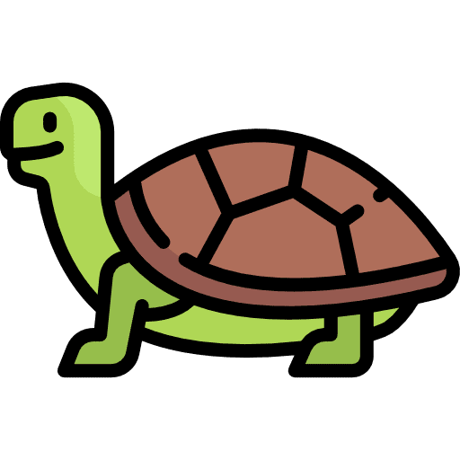 Turtle turtle sea life aquatic icon
