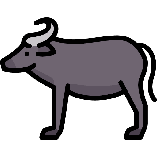Buffalo zoo animal animals icon