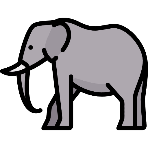 Elephant mammal zoo elephant icon