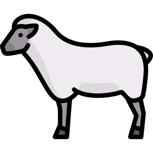 Ewe lamb ewe animals icon
