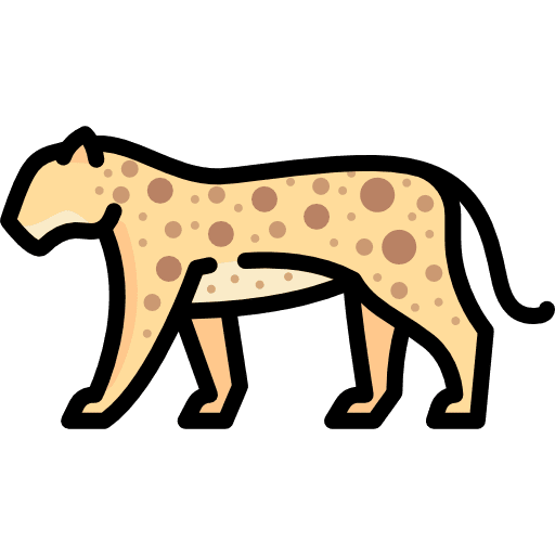 Leopard leopard zoo wild life icon