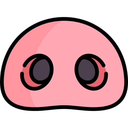 Pig mammal wildlife pig icon