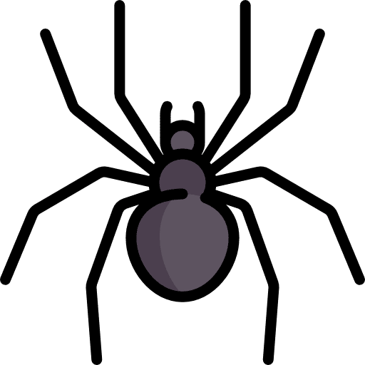 Spider anim entomology spider icon