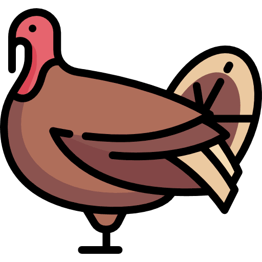 Turkey dinner chicken turkey icon