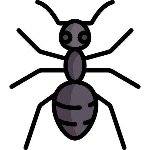 Ant animals animal insects icon