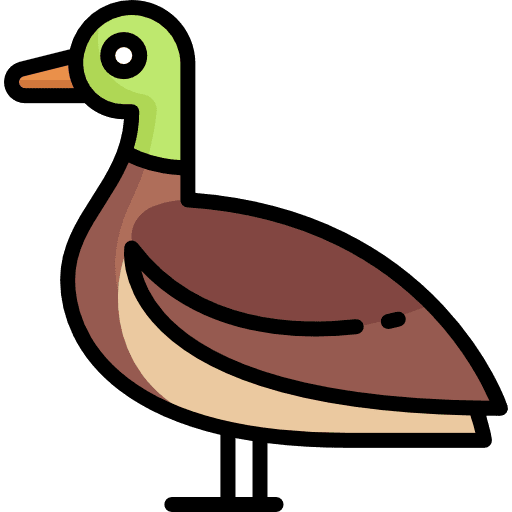Duck duck animals animal icon
