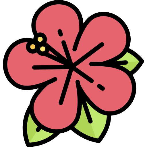 Hibiscus blossom nature botanical icon