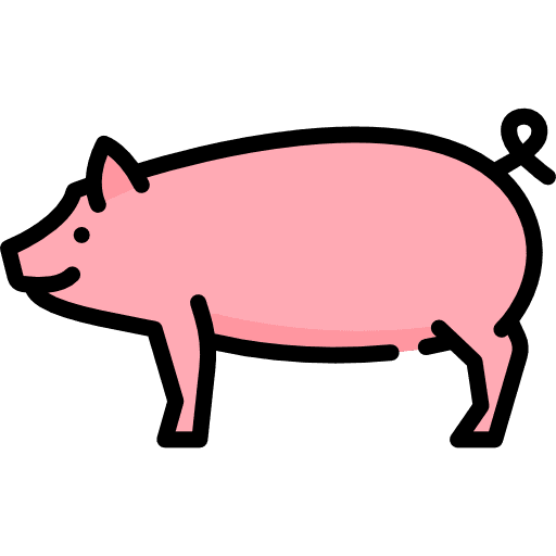 Pig animals animal kingdom farm icon