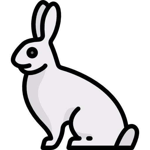 Rabbit wildlife bunny rabbit icon