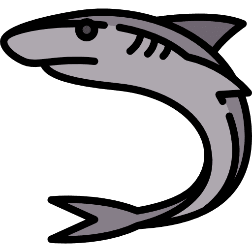 Shark animals sea life aquarium icon