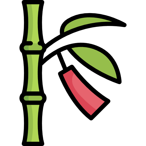 Bamboo botanical bamboo japan icon