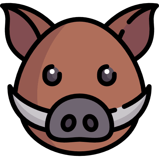 Boar boar wildlife animal kingdom icon