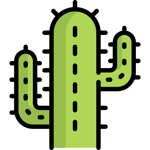 Cactus dessert nature botanical icon