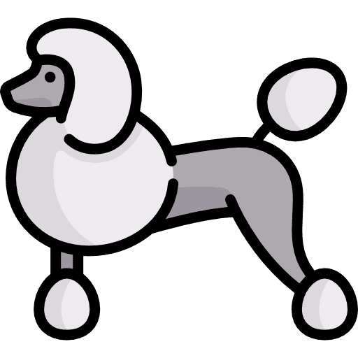 Poodle pet poodle mammal icon