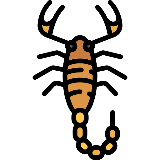 Scorpion arachnid animal kingdom venomous icon