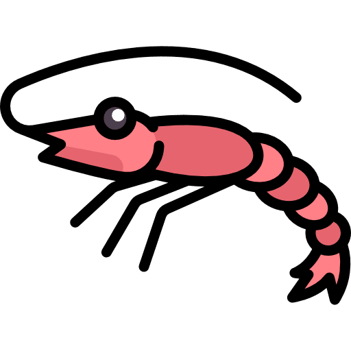 Shrimp animals seafood animal icon