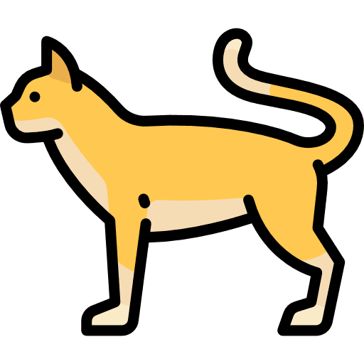 Cat animals breed cat icon