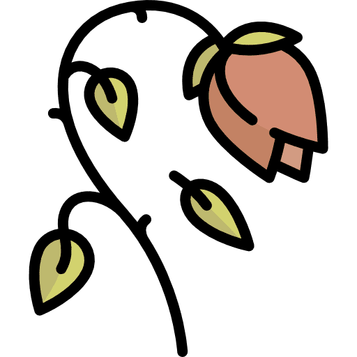Flower botanical rose petals icon