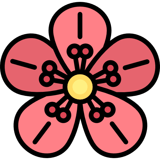 Cherry blossom plant bloom cherry icon
