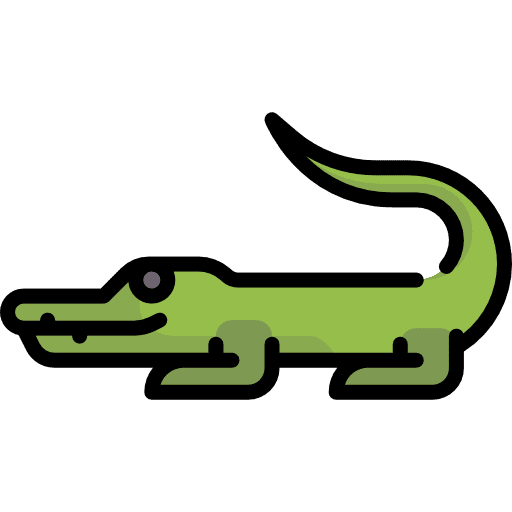 Crocodile crocodile animal zoo icon