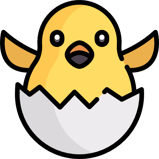 Chicken farm bird animals icon