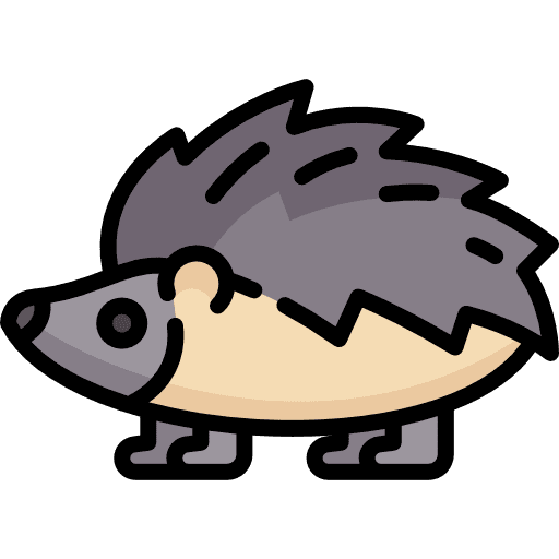 Hedgehog wildlife zoo animals icon