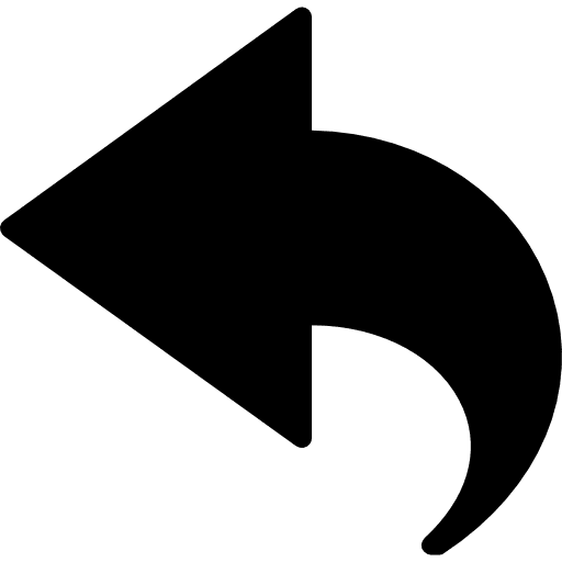 Back camera back response arrows icon