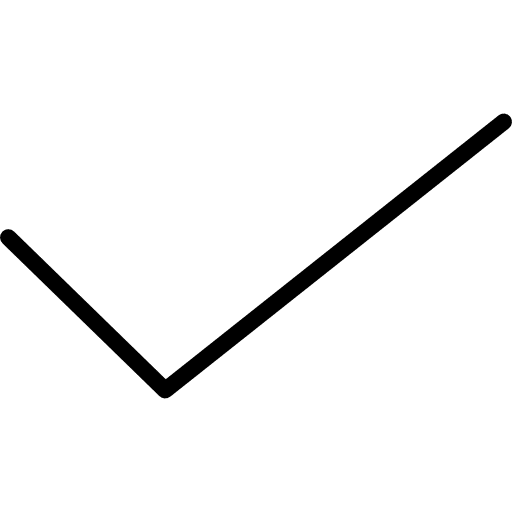 Check check interface tick icon