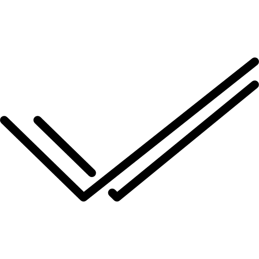Check tick interface v icon Check tick interface v icon
