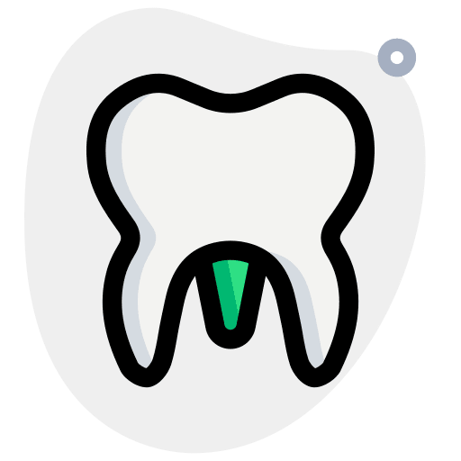 Molar healthcare and medical dental molar icon