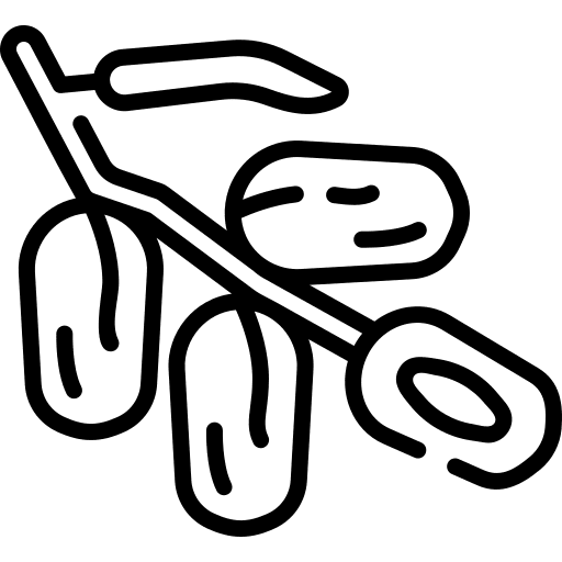 Dates islam ramadan food icon