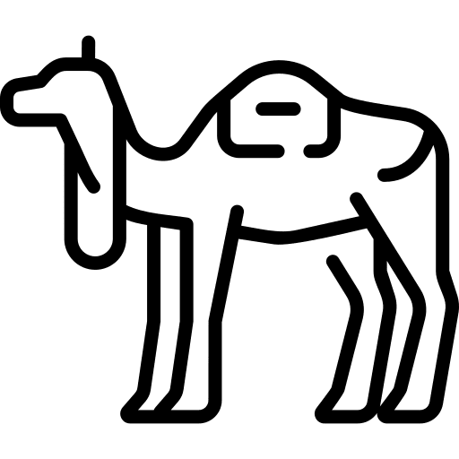 Camel animals zoo wildlife icon