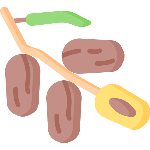 Dates food vegan vegetarian icon