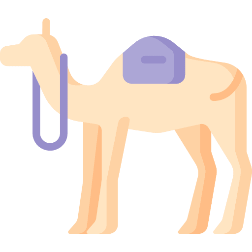 Camel zoo mammal arabian icon