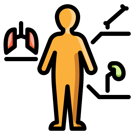 Anatomy anatomy experiment human icon