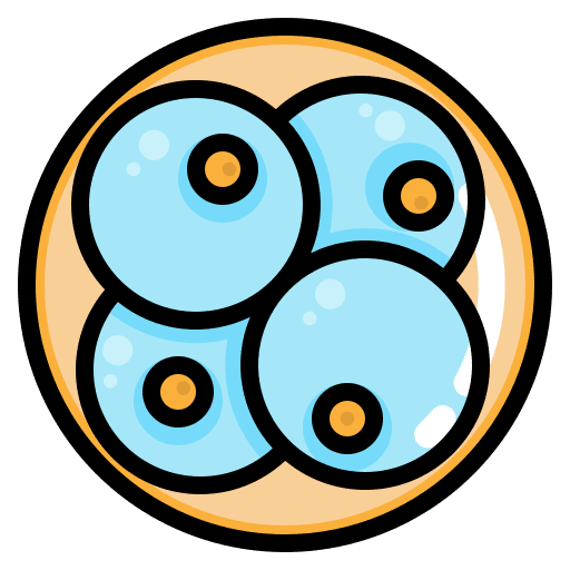 Embryo embryo experiment science icon