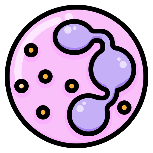 White blood cell science education infection icon