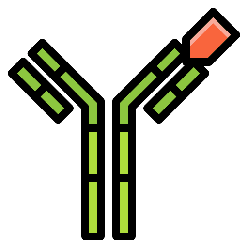 Antibody antigen biology immunology icon