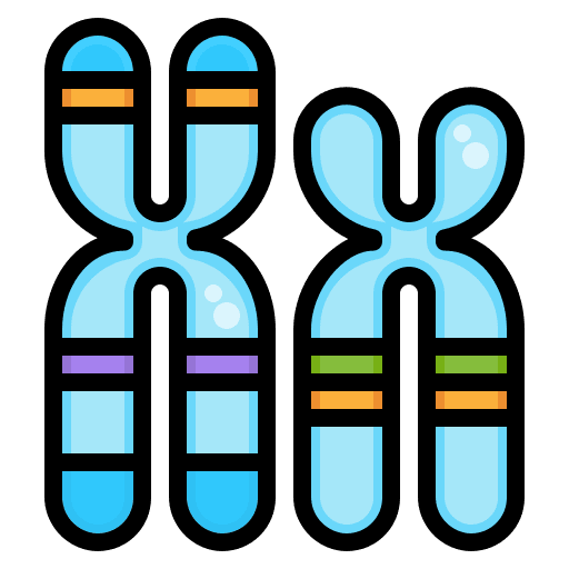 Chromosome xx science gene icon