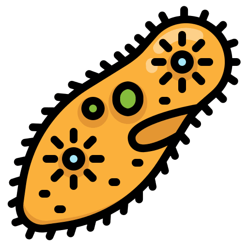 Paramecium science education experiment icon