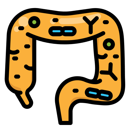 Probiotic microbiology intestine medical icon