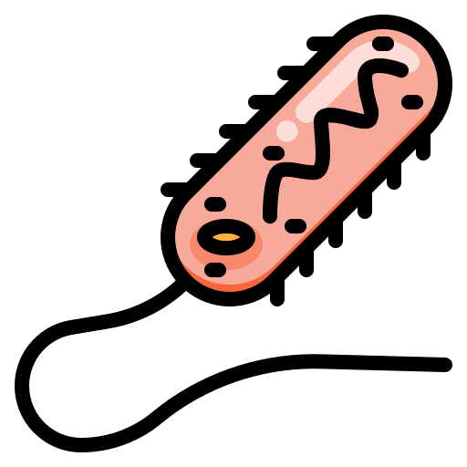 Bacteria biology experiment science icon