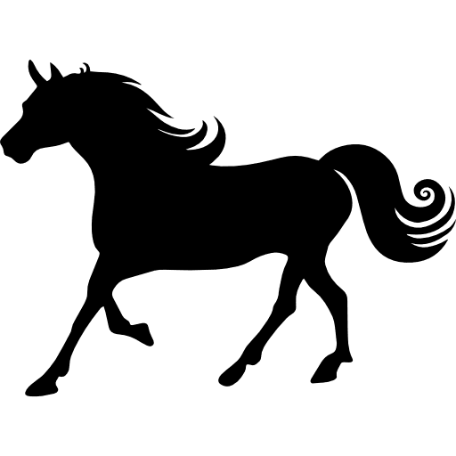 Horse with curly mane silhouette horse silhouette horse animals icon