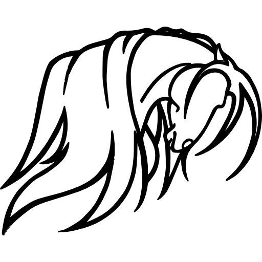 Horse head covered with horsehair hair head horses icon